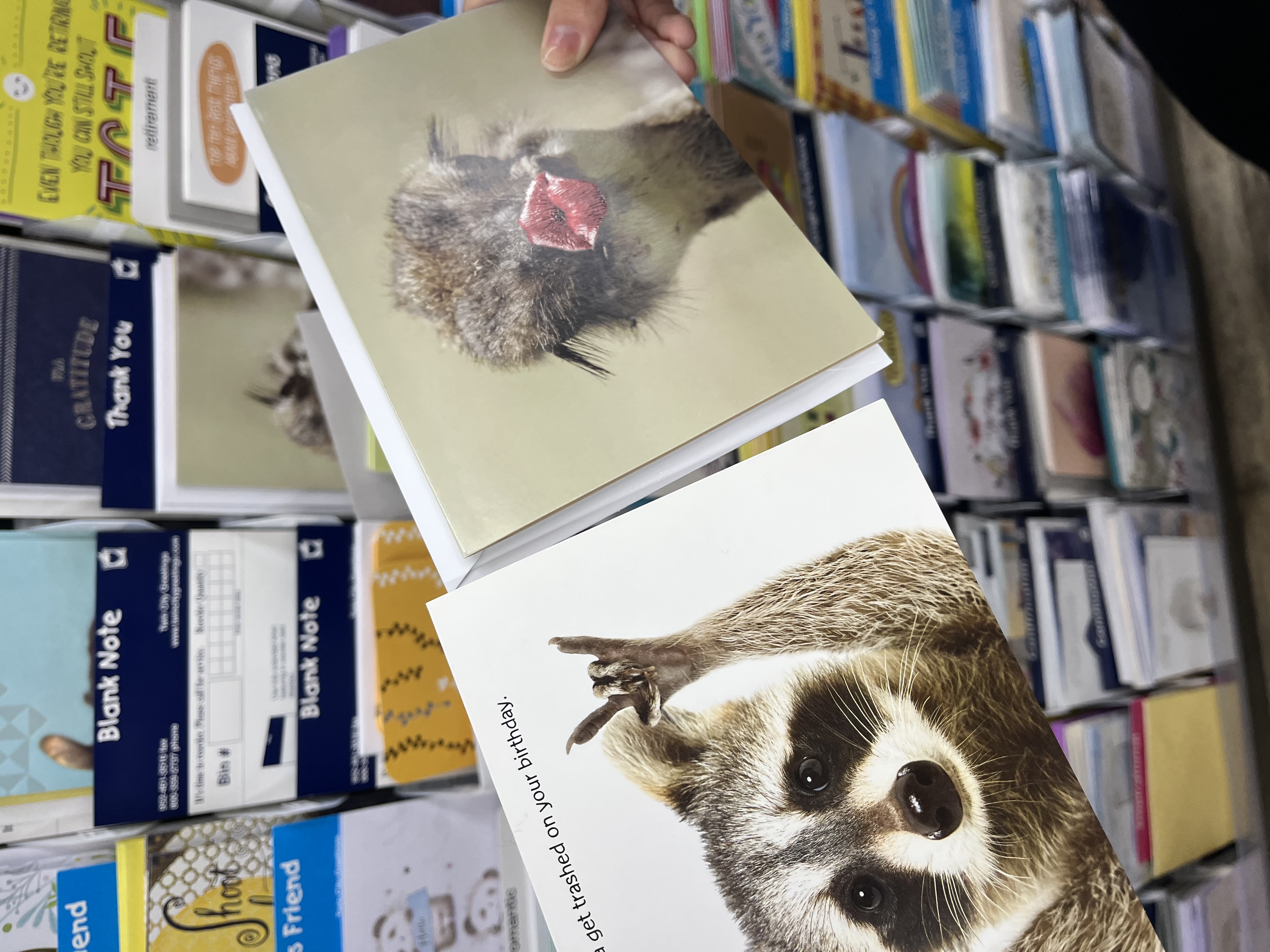 Youngchae Han photo 5