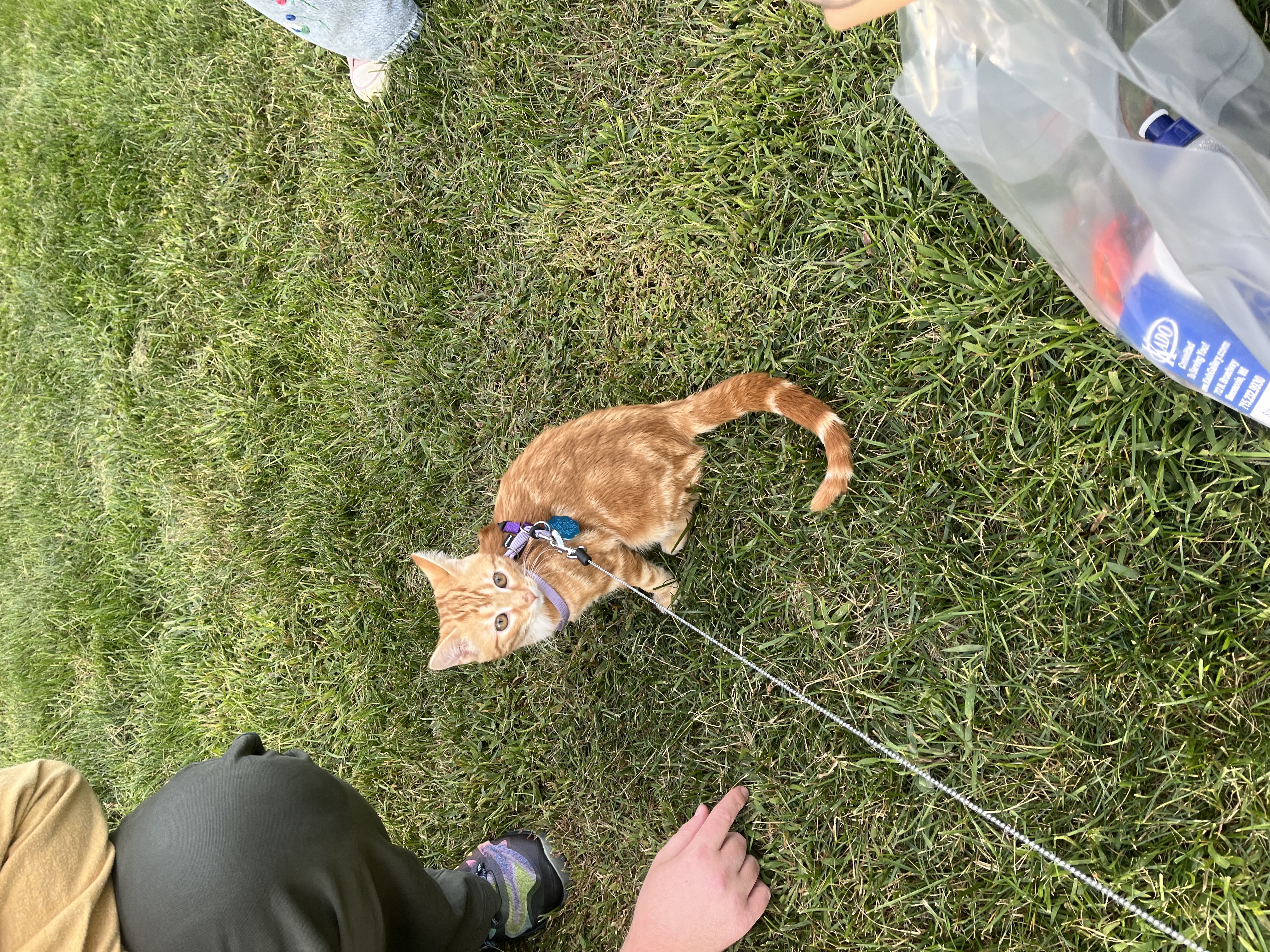 Youngchae Han photo 1